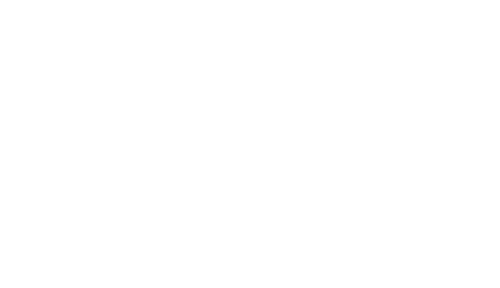 Payday Pug